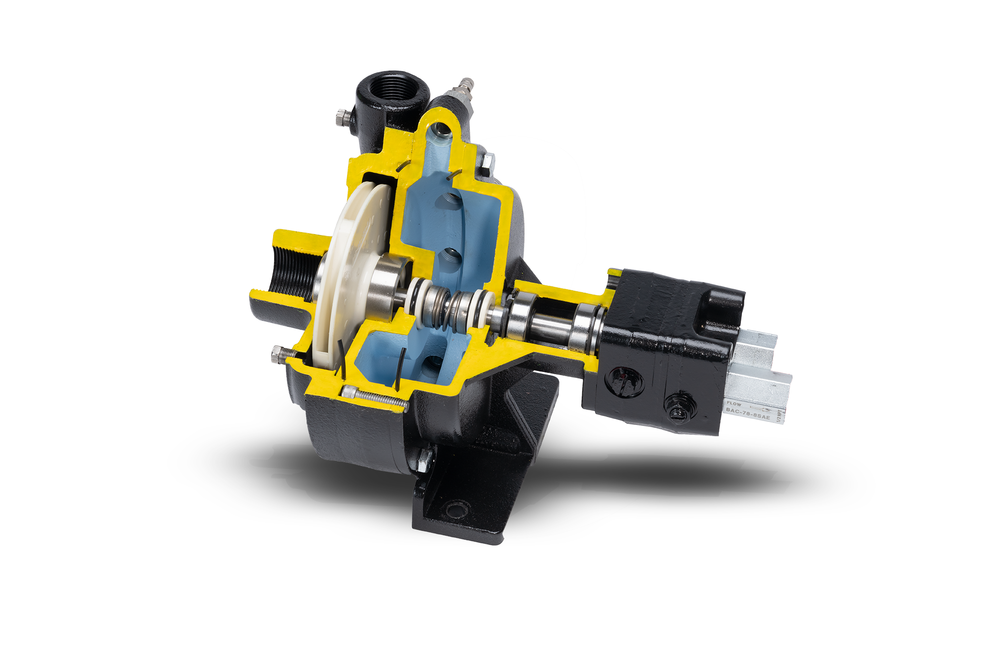 Cutaway image of Oasis Wet Seal Pump